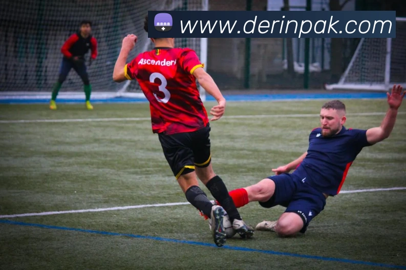 平台展示图